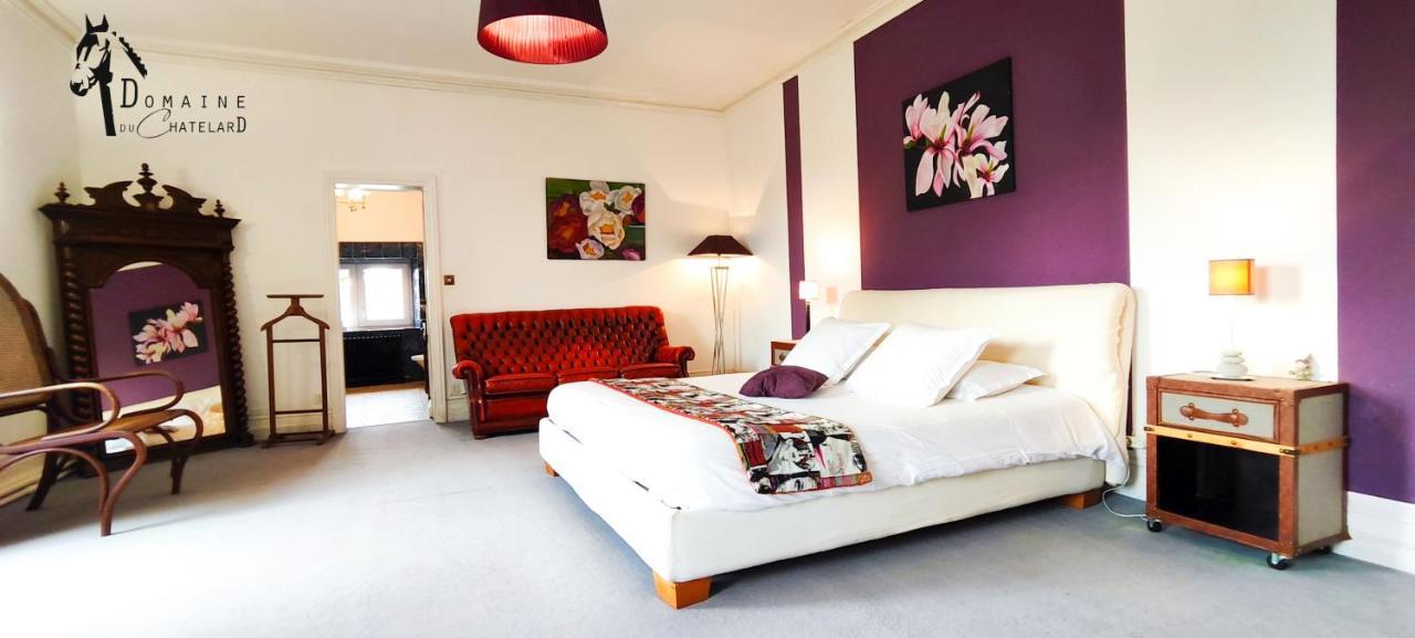 Logis Hotels Domaine Du Chatelard 狄拉克 外观 照片