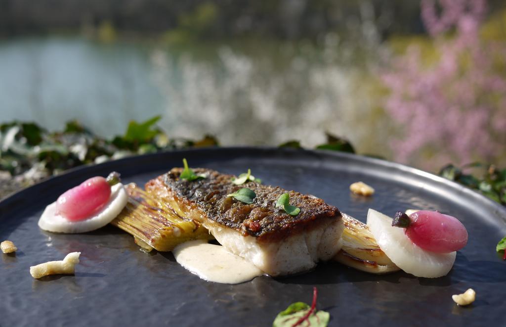 Logis Hotels Domaine Du Chatelard 狄拉克 外观 照片